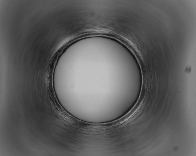 X0000100921163200806241106