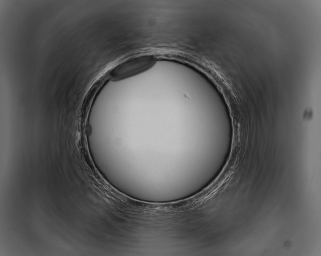 X0000100921165200806241106