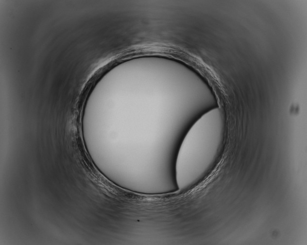 X0000100921166200806241106
