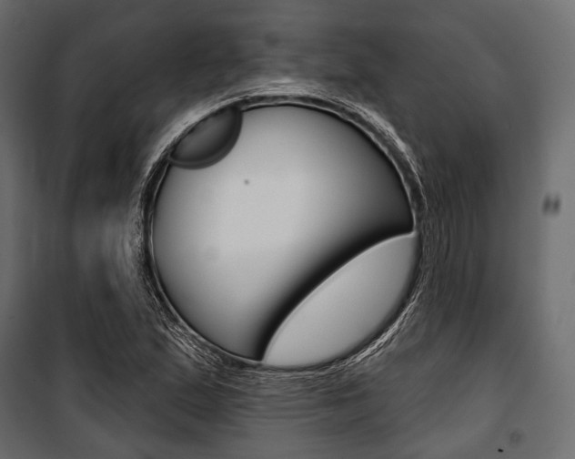 X0000100921167200806241106