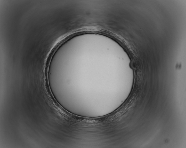 X0000100921168200806241106