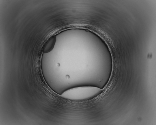 X0000100921169200806241106