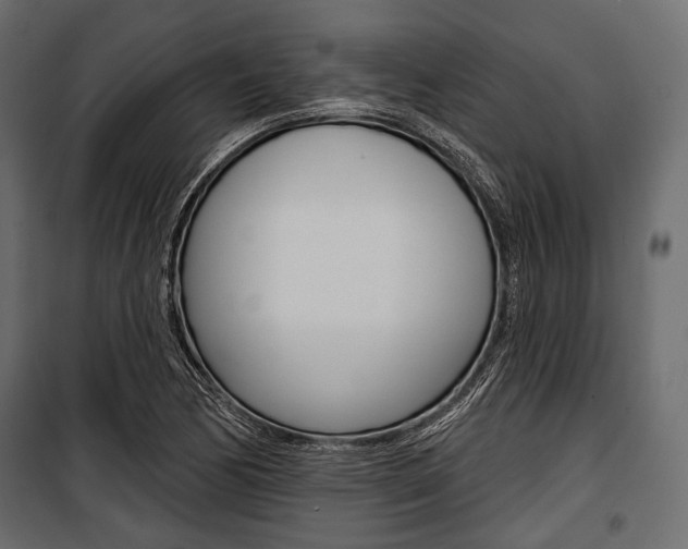 X0000100921170200806241106