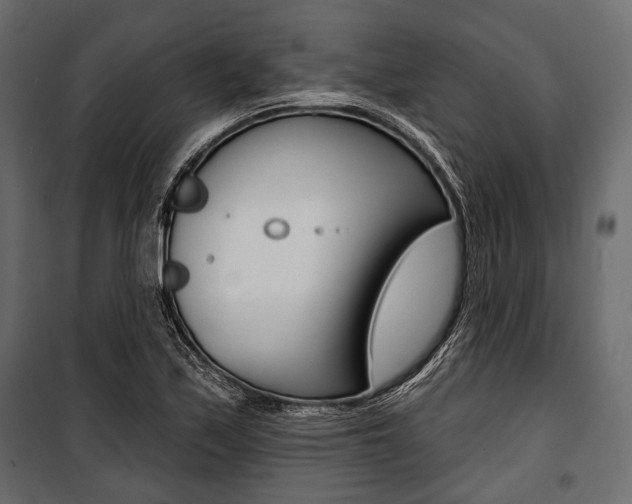 X0000100921171200806241106