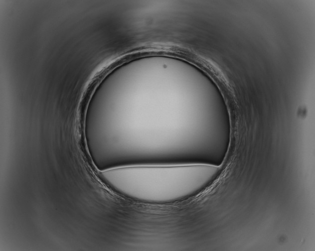 X0000100921172200806241106