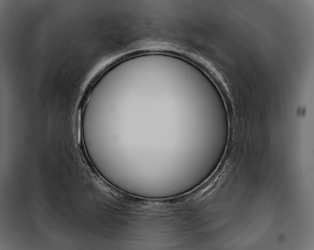 X0000100921175200806241106