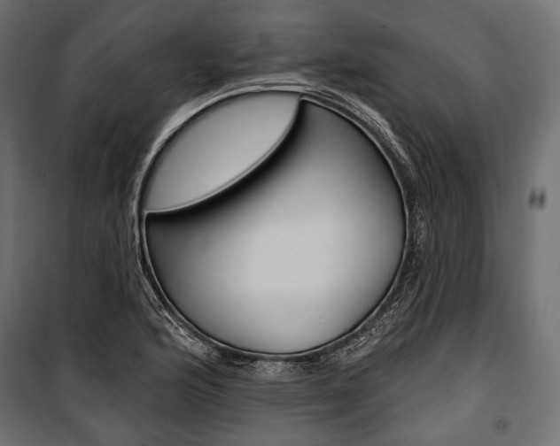 X0000100921176200806241106