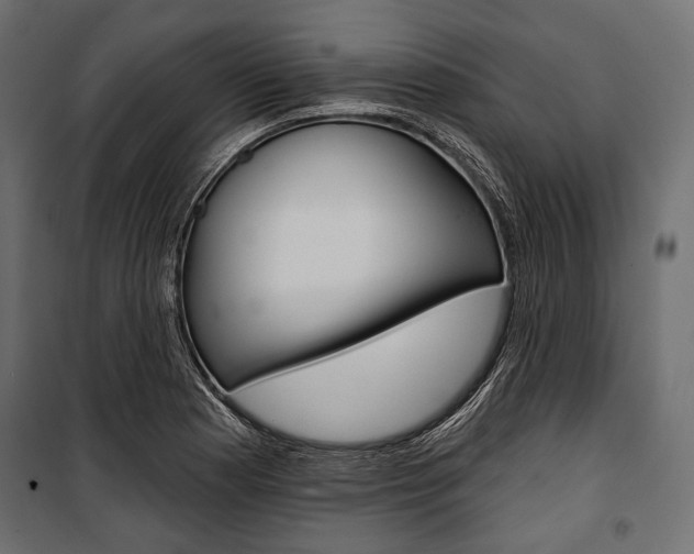 X0000100921177200806241106