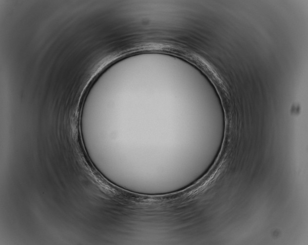 X0000100921178200806241106