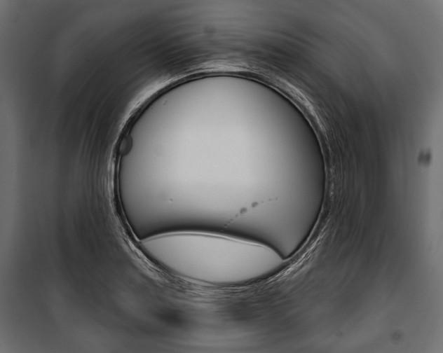 X0000100921179200806241106