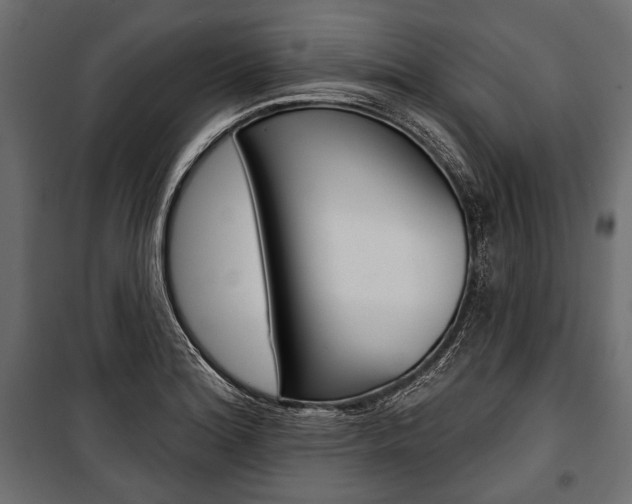 X0000100921180200806241106