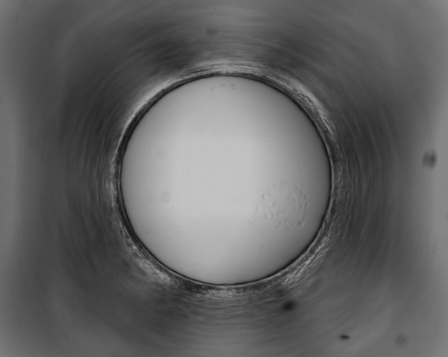 X0000100921182200806241106