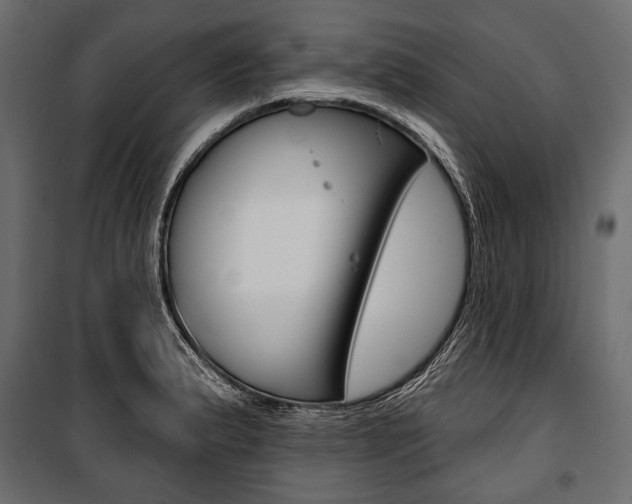 X0000100921183200806241106
