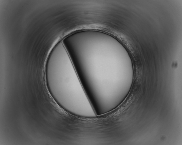 X0000100921184200806241106