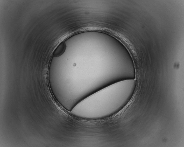 X0000100921185200806241106