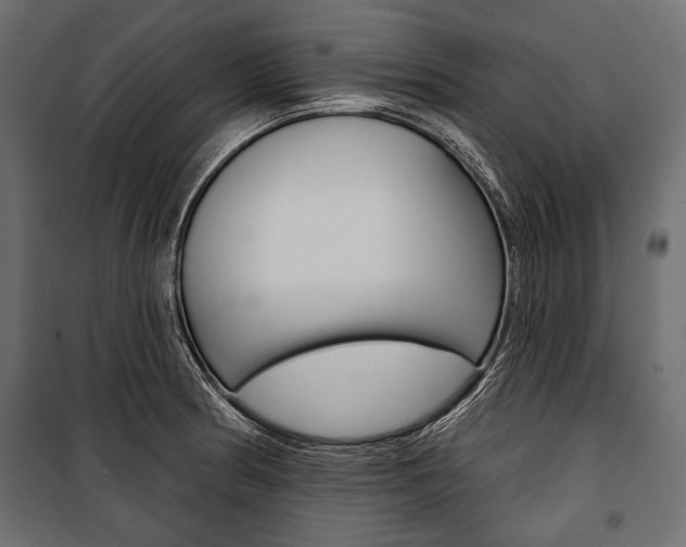 X0000100921186200806241106