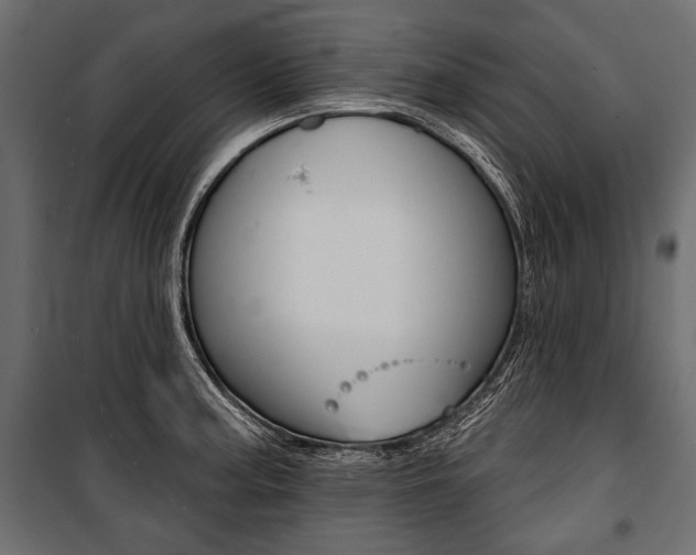 X0000100921187200806241106