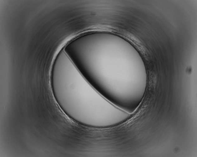 X0000100921188200806241106