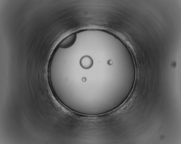 X0000100921189200806241106