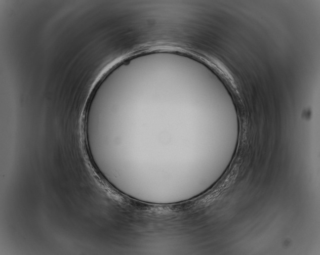 X0000100921190200806241106