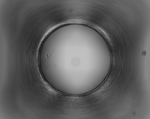 X0000100921192200806241106