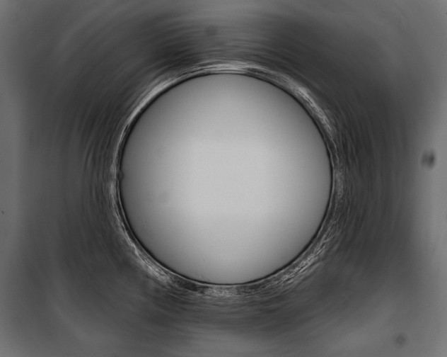 X0000100921194200806241106