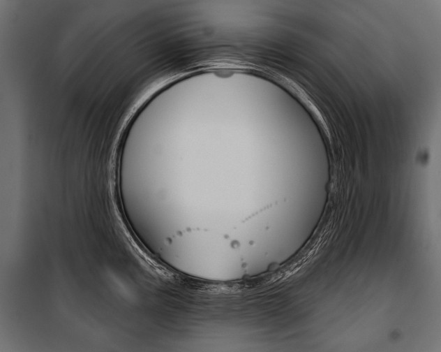 X0000100921195200806241106