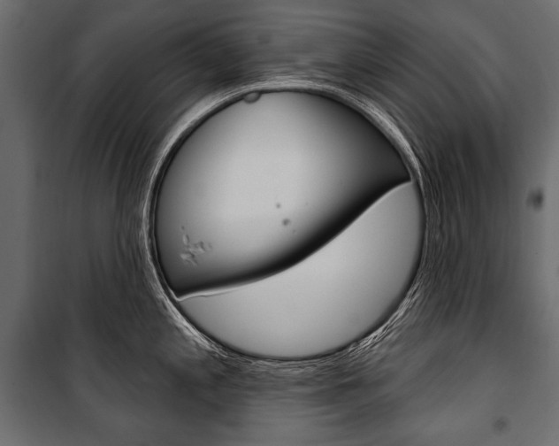 X0000100921197200806241106