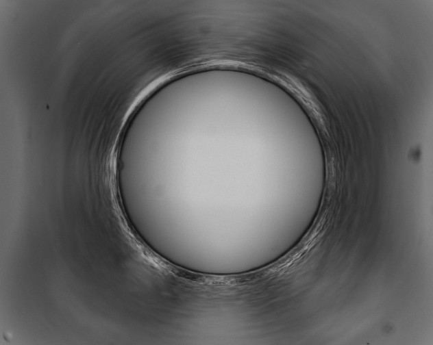 X0000100921198200806241106