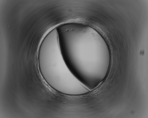 X0000100921200200806241106