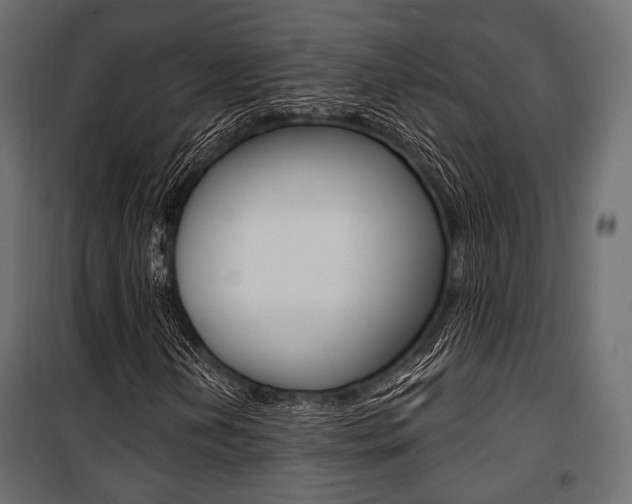 X0000100921202200806241105