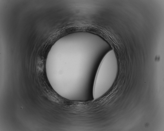 X0000100921204200806241105