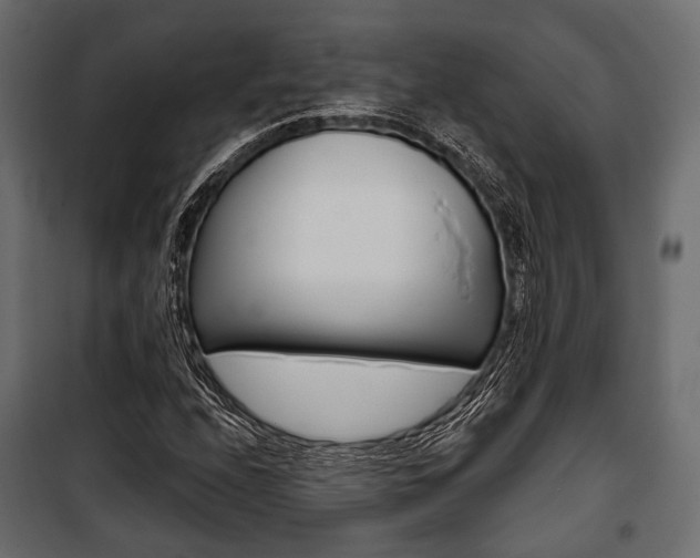 X0000100921208200806241105