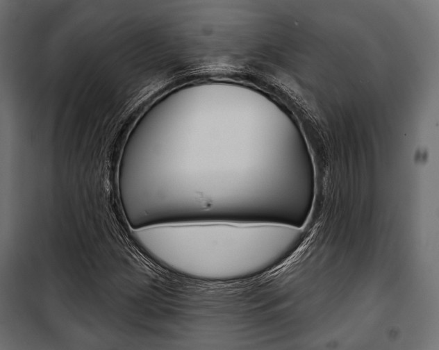 X0000100921209200806241105