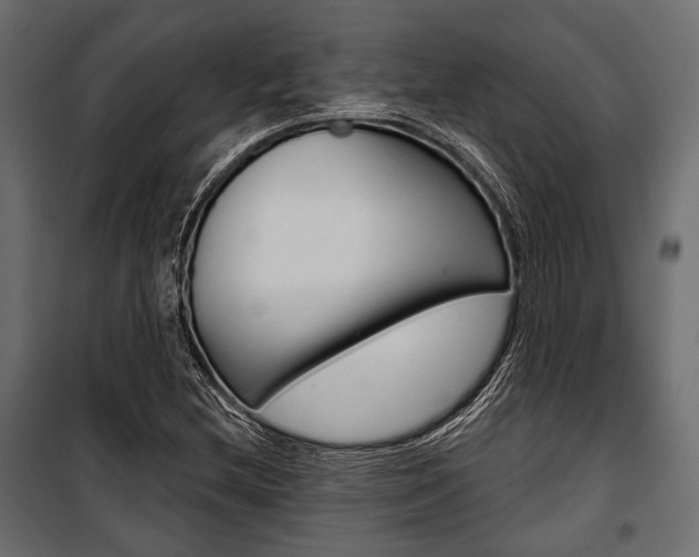 X0000100921212200806241105