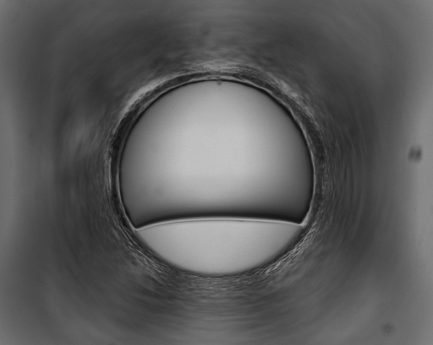 X0000100921214200806241105