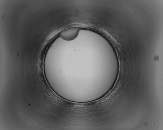 X0000100921215200806241105