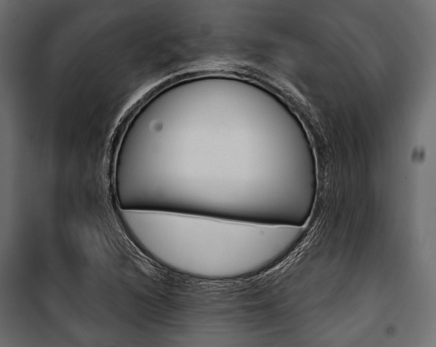 X0000100921216200806241105