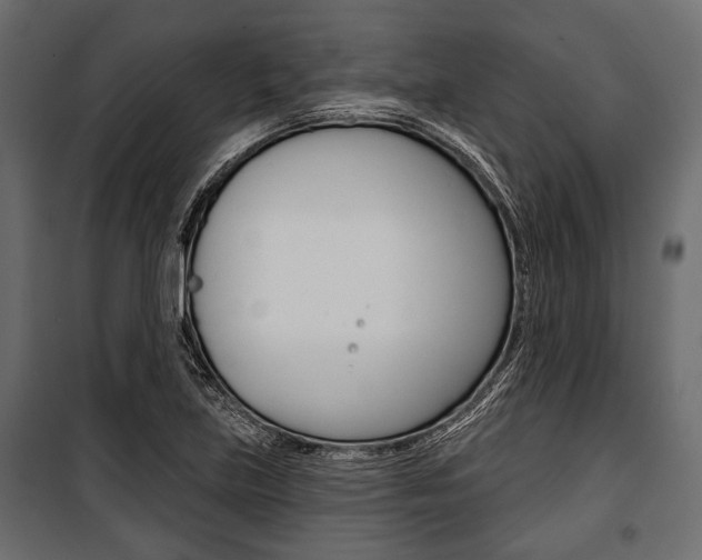 X0000100921219200806241105