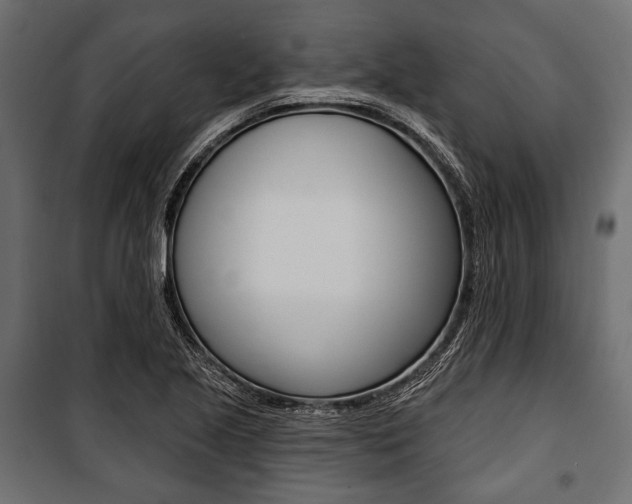X0000100921221200806241105