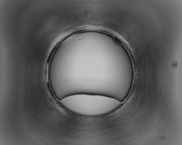 X0000100921223200806241105