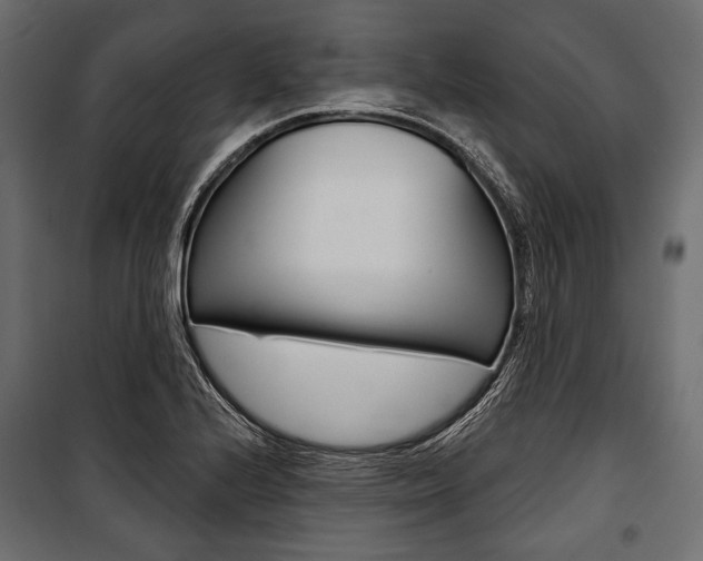 X0000100921224200806241105