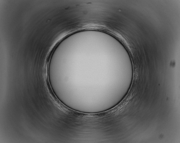 X0000100921227200806241105
