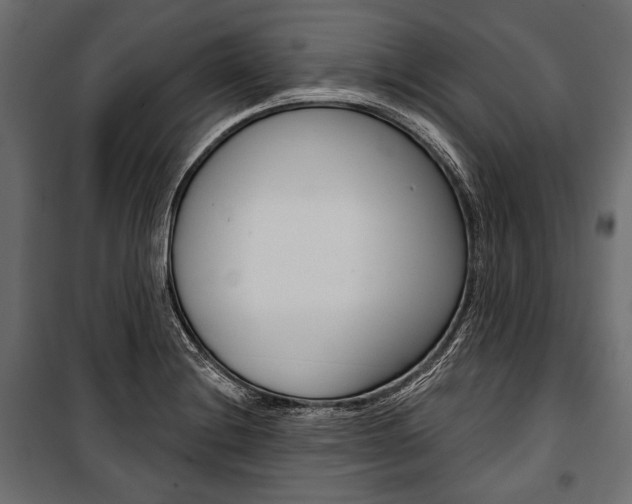 X0000100921228200806241105