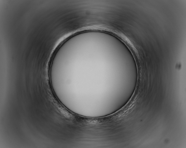 X0000100921230200806241105