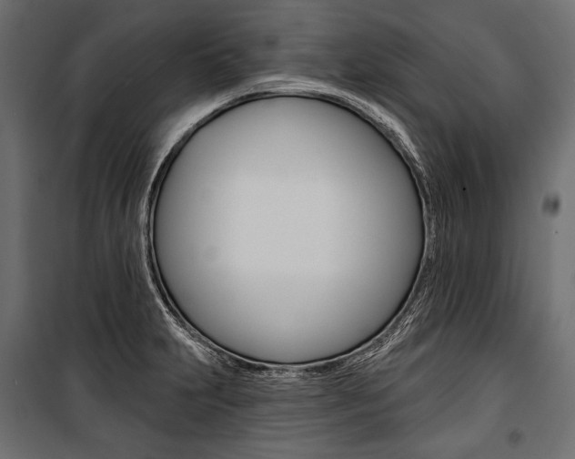 X0000100921231200806241105