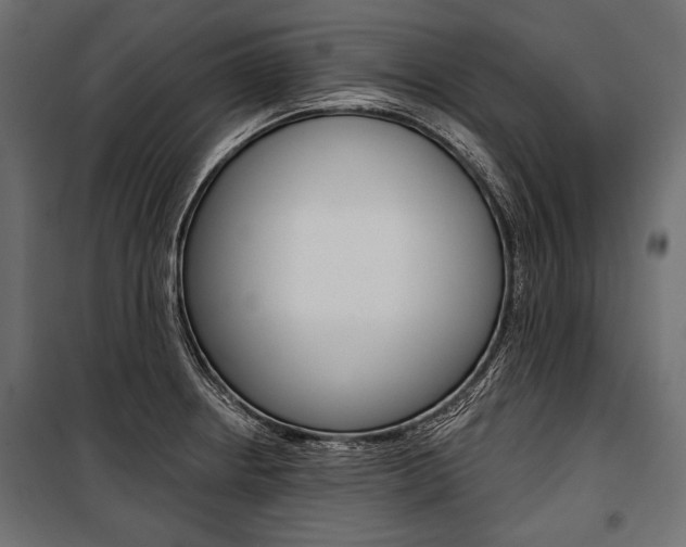X0000100921234200806241105