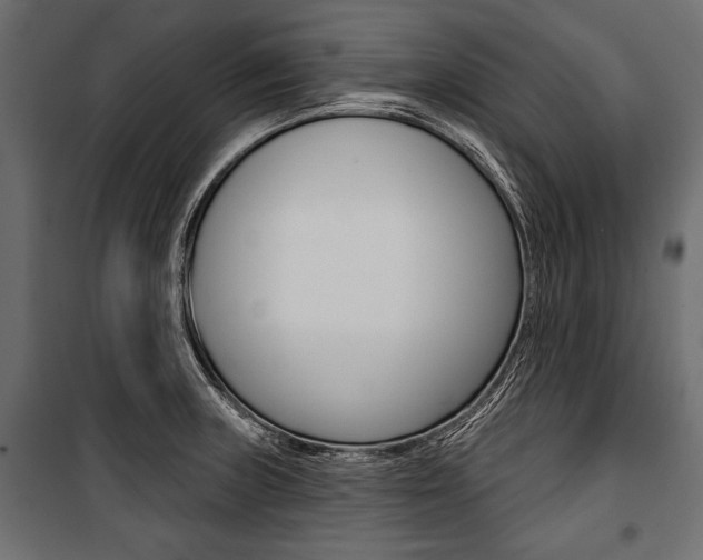 X0000100921235200806241105