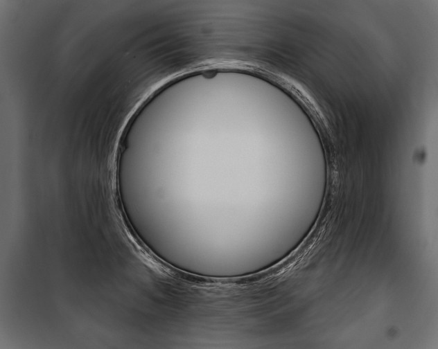 X0000100921236200806241105