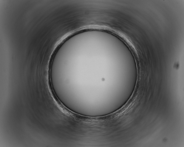 X0000100921237200806241105